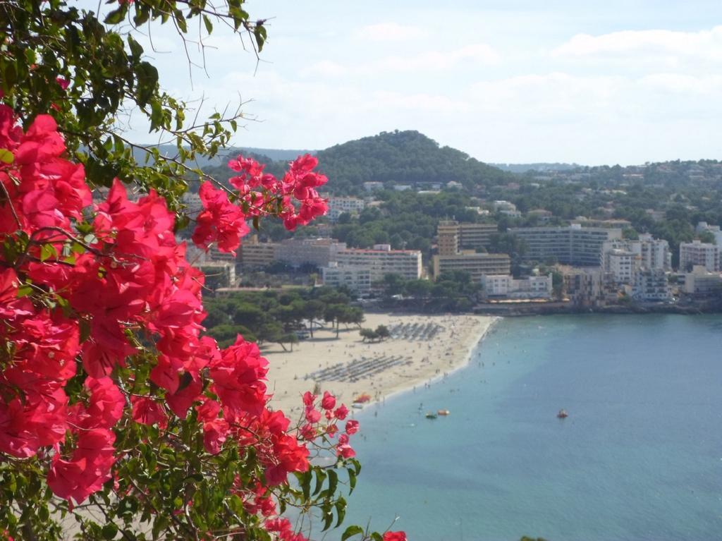 Xaloc 4 Appartement Santa Ponsa